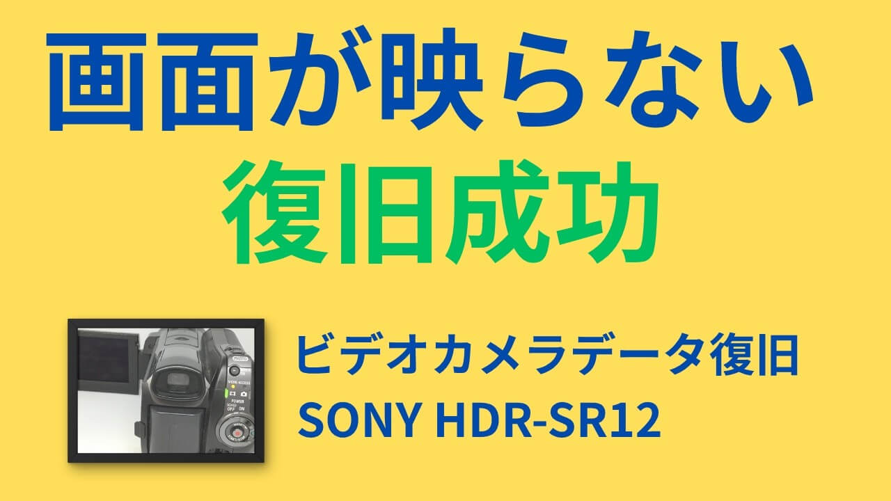 【SONY HDR-SR12】画面が映らない症状からビデオカメラデータ復旧|動画756本・静止画16枚を100%復旧(愛知県一宮市)